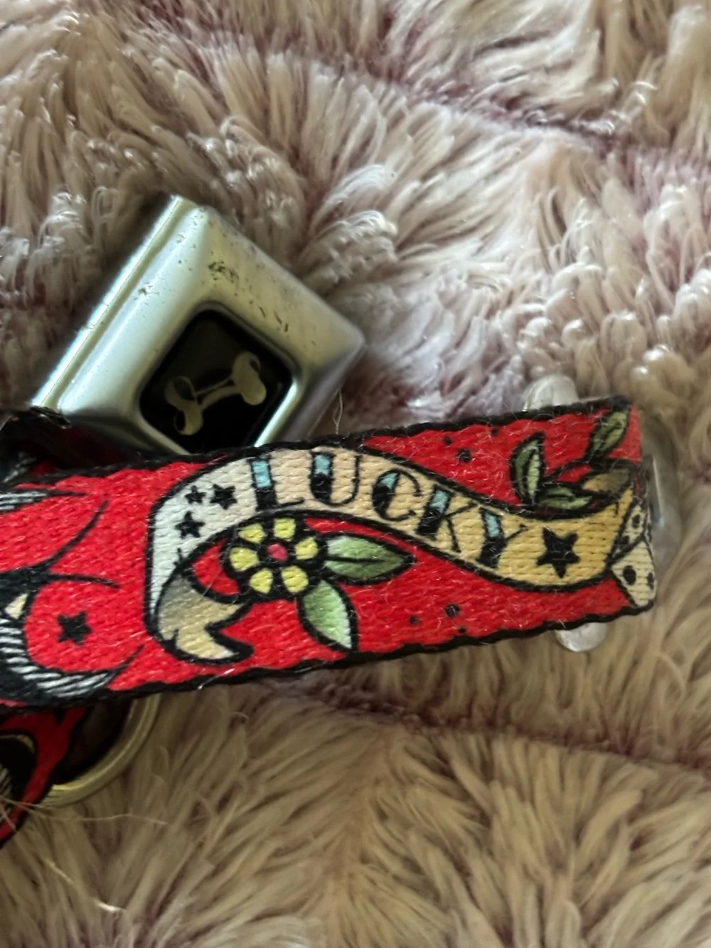 Buckle Down Red Lucky Dice Tattoo Series Adjustable Dog Collar Size Large